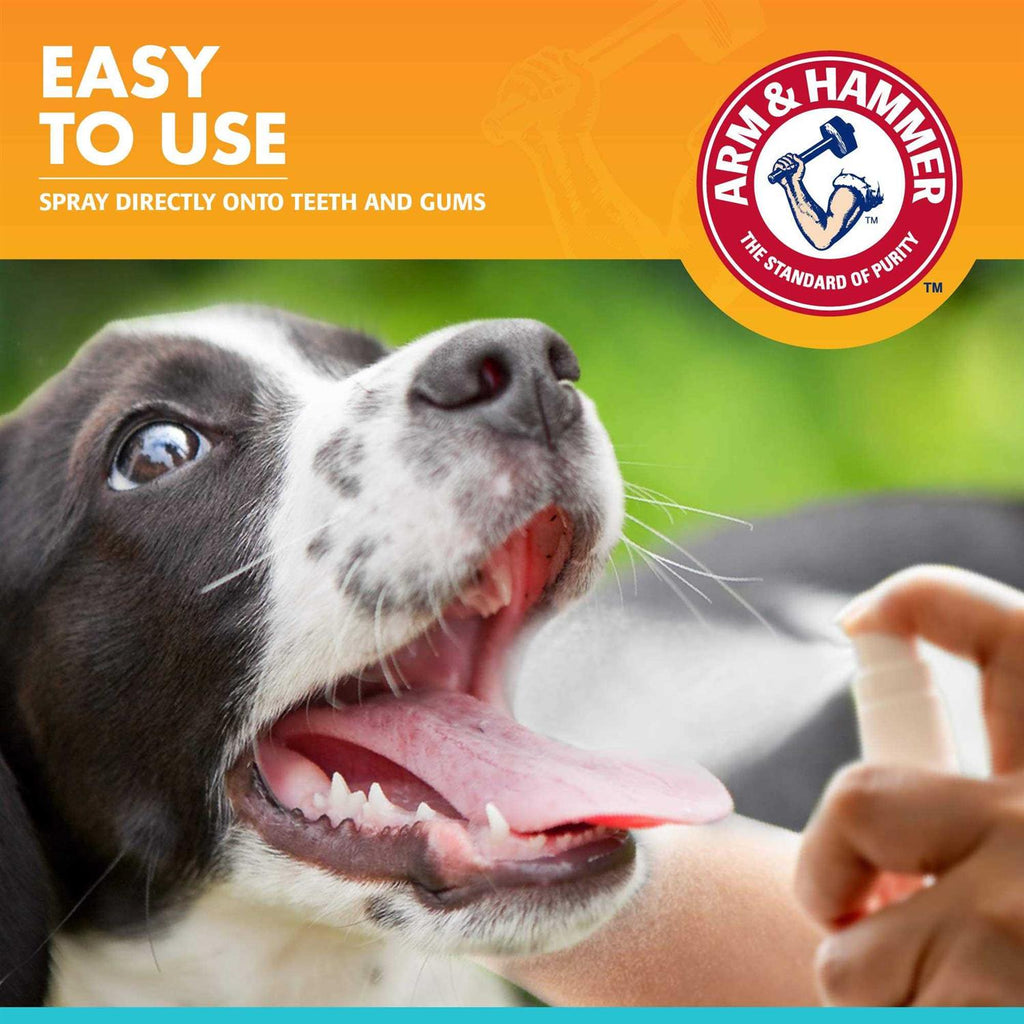Fresh Breath Dental Spray for Dogs U662942