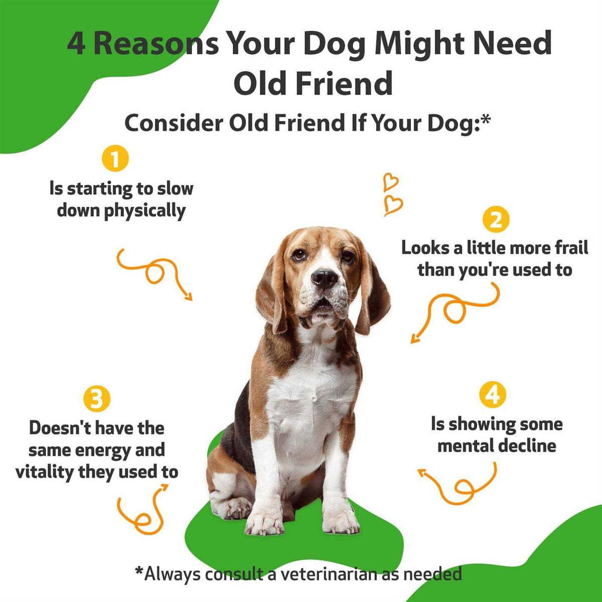 Senior Dogs Pet Supplies N911