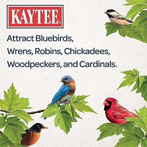 Nyjer Seed Wild Bird Food M866791