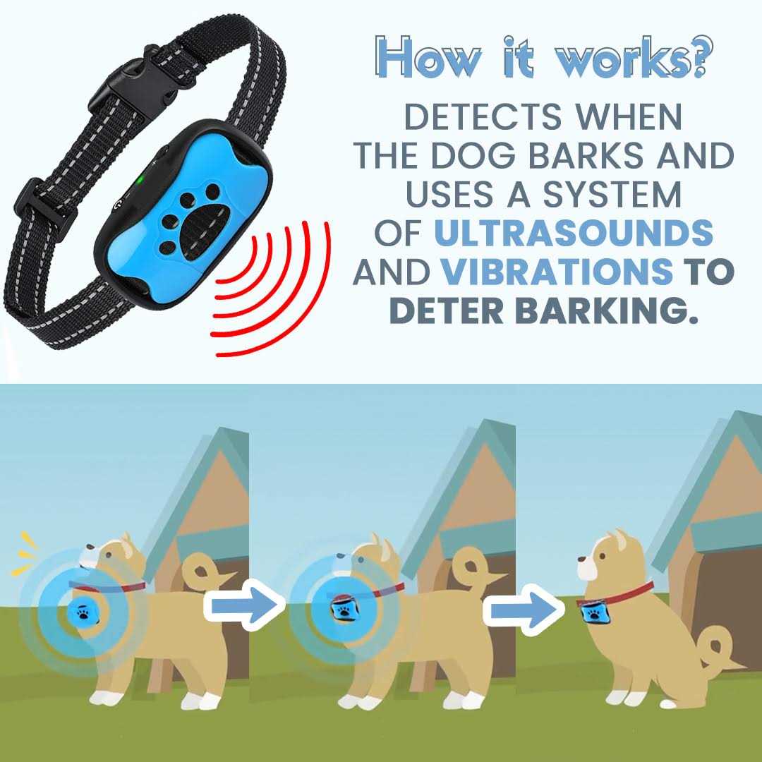 Anti-Bark Collar for Dogs D212071