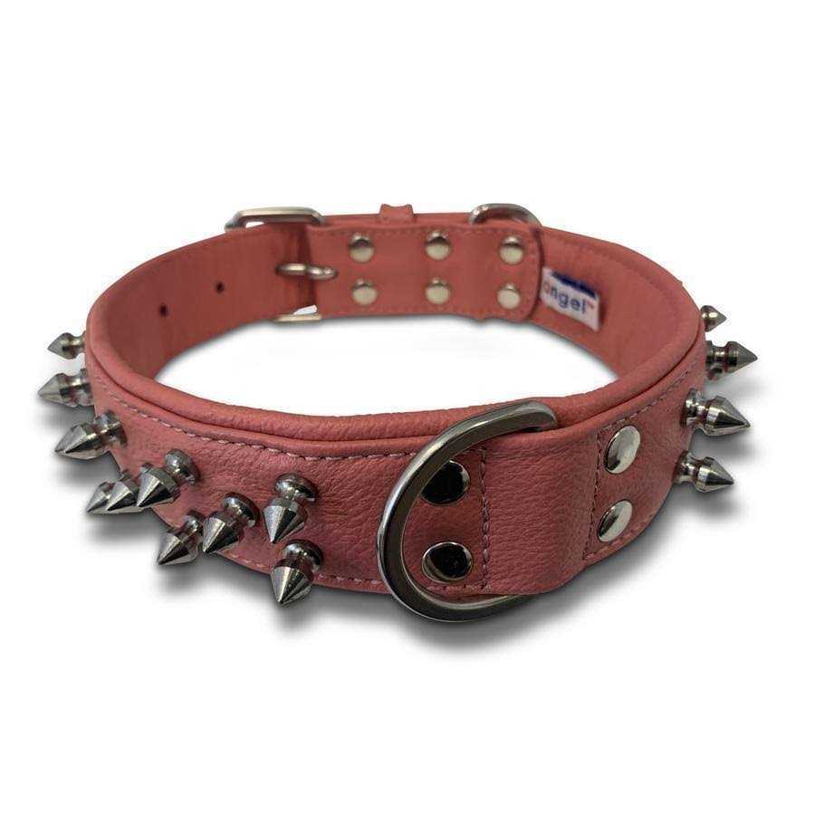 Dog Collar S375283