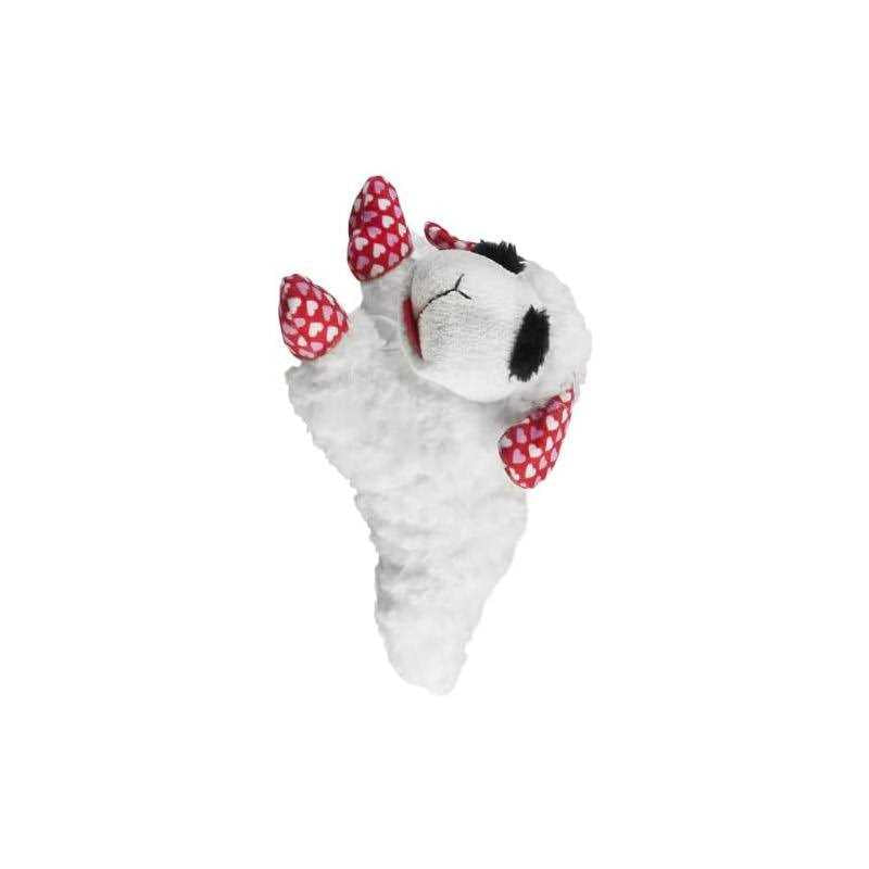 Valentine's Day Dog Toy W5501
