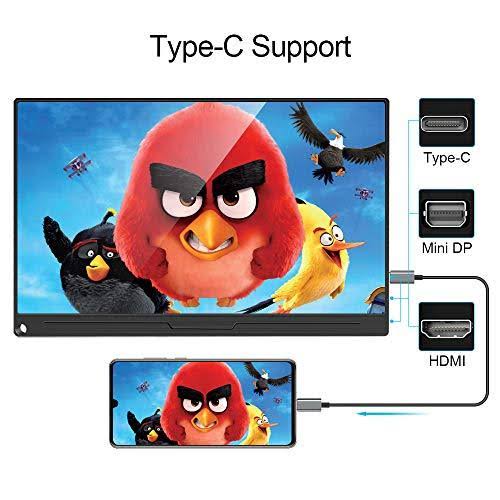 15.6 inch IPS HDR 1920x1080 FHD USB C Gaming Monitor T557