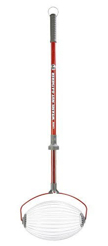 Large Nut Gatherer M705942