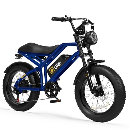 1500W 20" Fat Tire Electric Bike 7-Speed Q3058