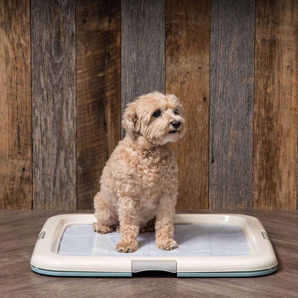 Square Pet Training Pad Holder J552956