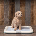 Square Pet Training Pad Holder J552956