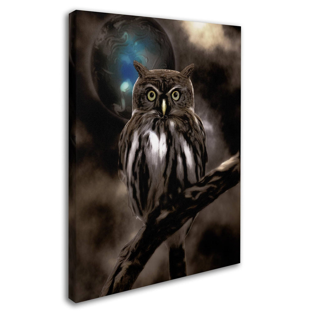 Night Owl Canvas Art R798532