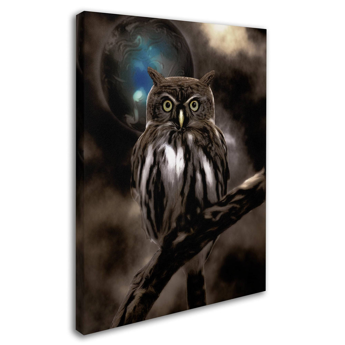 Night Owl Canvas Art R798532