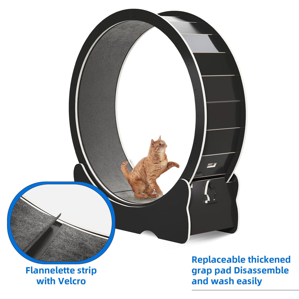 43.3 inch Cat Exercise Wheel with Detachable Carpet Q906