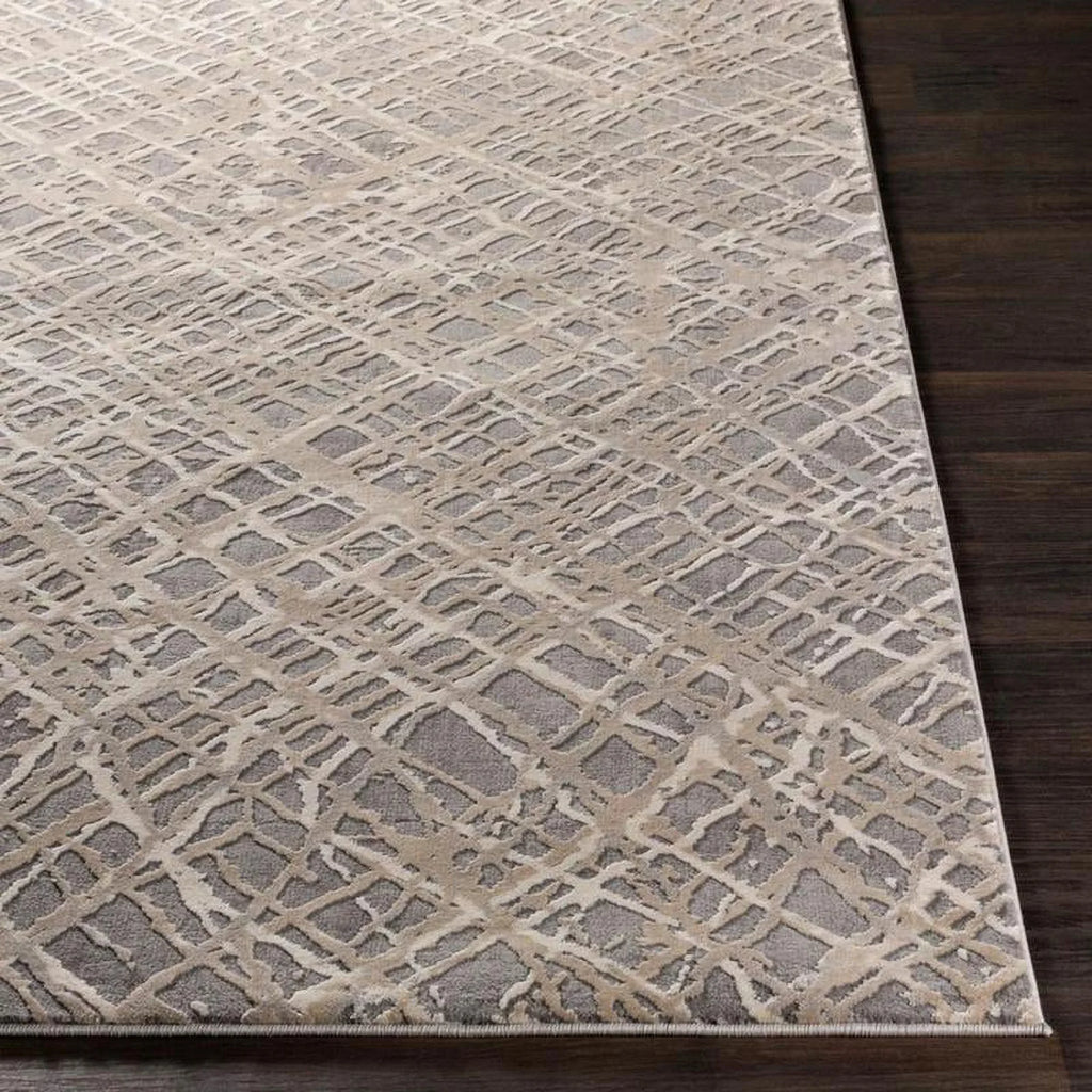 5x7 Medium Gray Area Rug K8932
