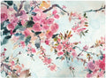 Cherry Blossoms Morning Canvas Art 32x24 P872978